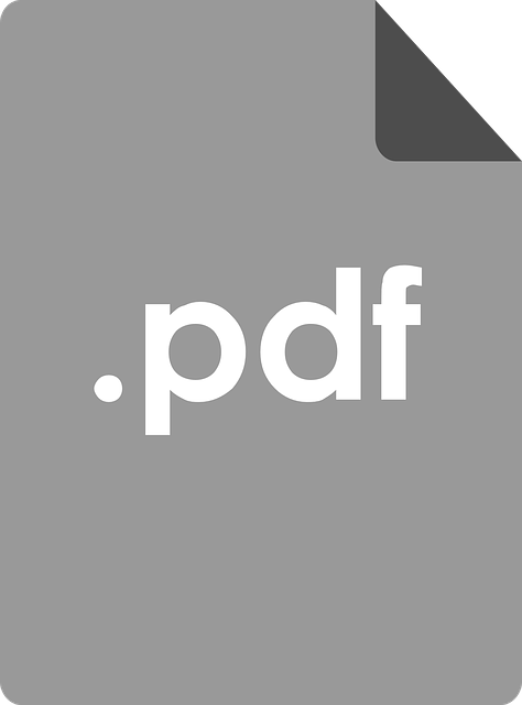 Fichier PDF